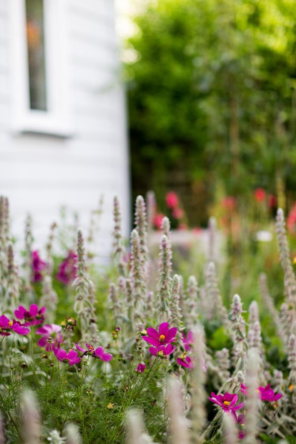 Coghill Cottage Whitianga Eksteriør bilde